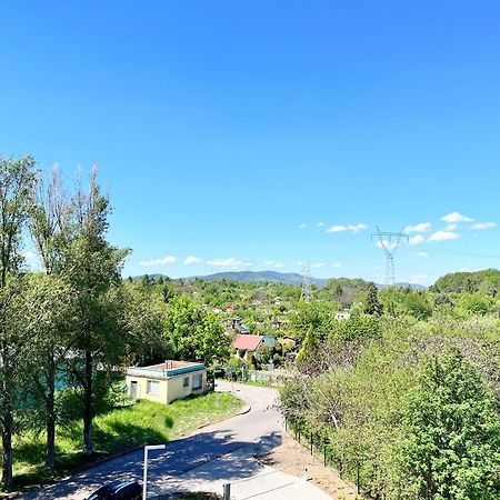 Apartament Zielone Podwale 瓦乌布日赫 外观 照片