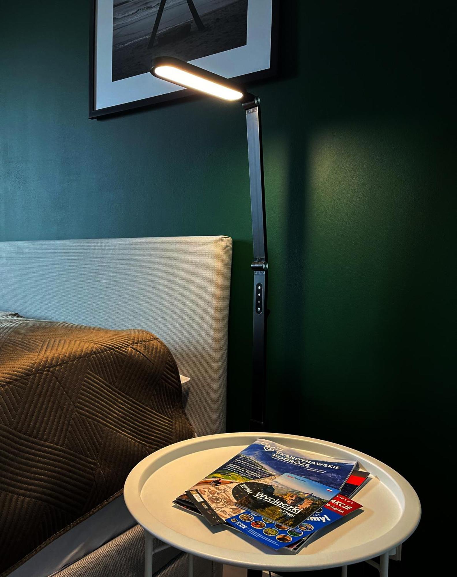 Apartament Zielone Podwale 瓦乌布日赫 外观 照片